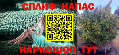 прущие крисы Краснознаменск