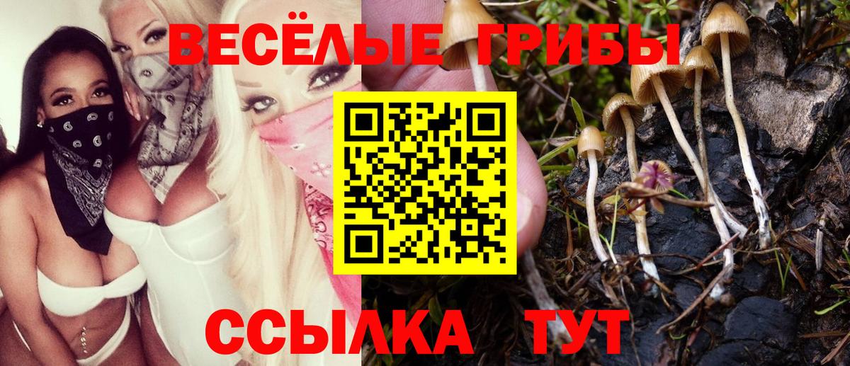 Галлюциногенные грибы мицелий Калуга