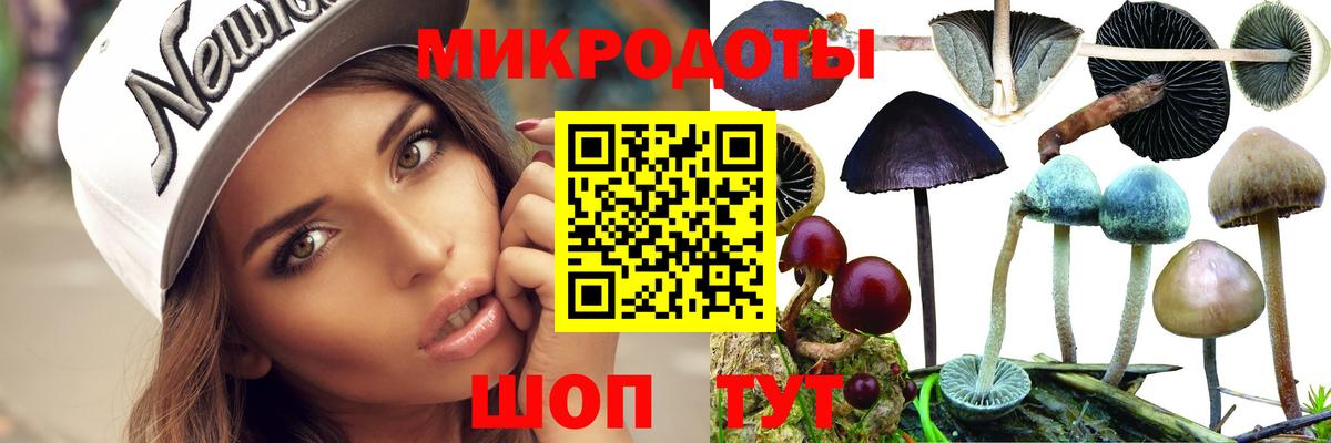 купить наркотик  Вход с VPN  Калуга  Псилоцибиновые грибы мицелий 